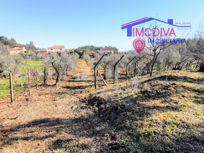 Image No.29-3 Bed House for sale