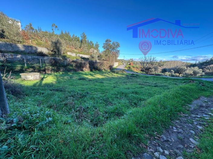 Image No.38-Maison de 1 chambre à vendre à Figueiró dos Vinhos