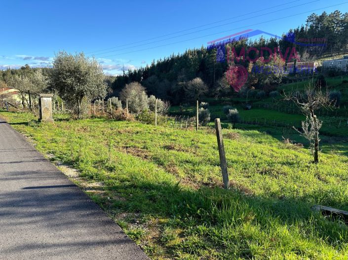 Image No.43-Maison de 1 chambre à vendre à Figueiró dos Vinhos