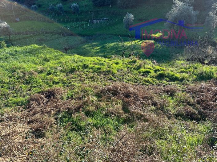 Image No.44-Maison de 1 chambre à vendre à Figueiró dos Vinhos