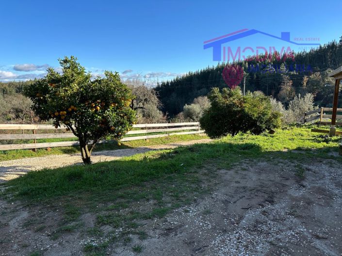 Image No.45-Maison de 1 chambre à vendre à Figueiró dos Vinhos