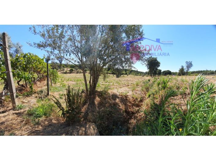 Image No.18-House for sale