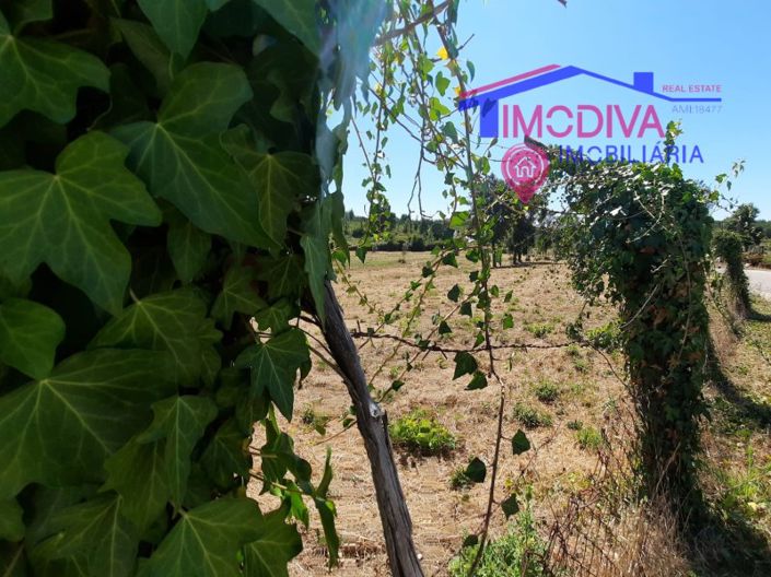 Image No.19-House for sale