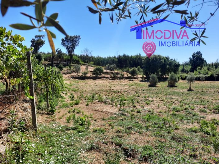 Image No.5-House for sale