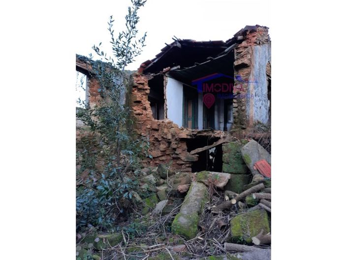 Image No.12-Ferme de 2 chambres à vendre à Castanheira de Pêra