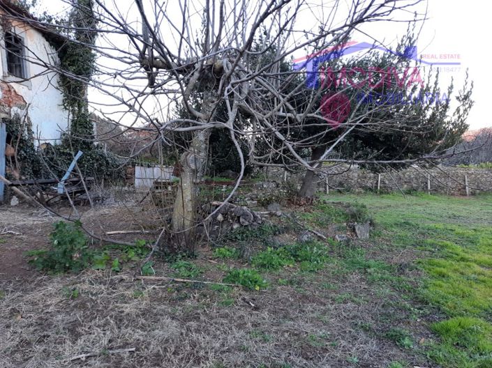 Image No.14-Ferme de 2 chambres à vendre à Castanheira de Pêra