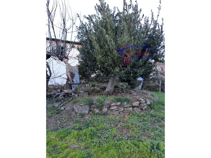 Image No.15-Ferme de 2 chambres à vendre à Castanheira de Pêra