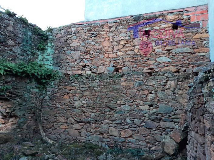 Image No.4-Ferme de 2 chambres à vendre à Castanheira de Pêra