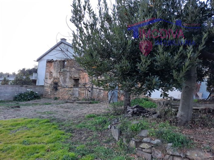 Image No.7-Ferme de 2 chambres à vendre à Castanheira de Pêra