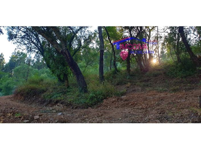 Image No.10-Plot for sale