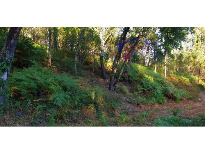 Image No.11-Plot for sale