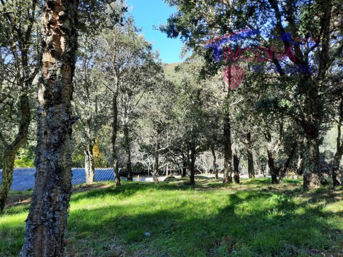 Image No.5-Propriété à vendre à Figueiró dos Vinhos