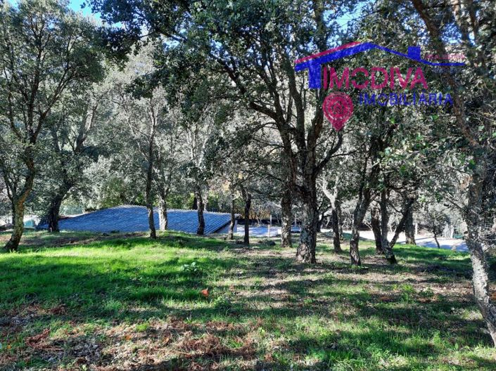 Image No.4-Propriété à vendre à Figueiró dos Vinhos