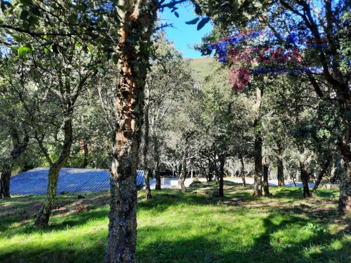 Image No.6-Propriété à vendre à Figueiró dos Vinhos