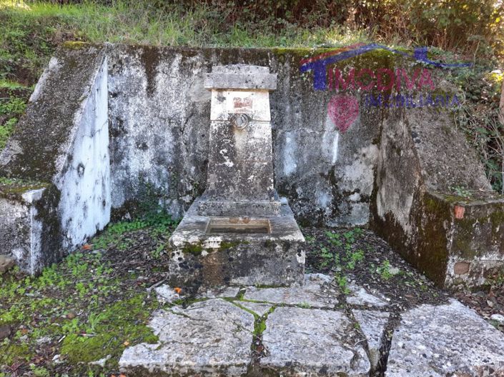 Image No.8-Propriété à vendre à Figueiró dos Vinhos