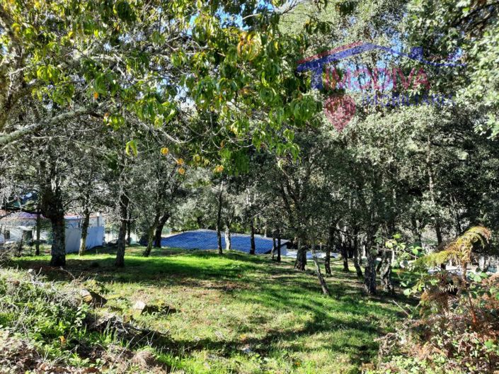 Image No.3-Propriété à vendre à Figueiró dos Vinhos