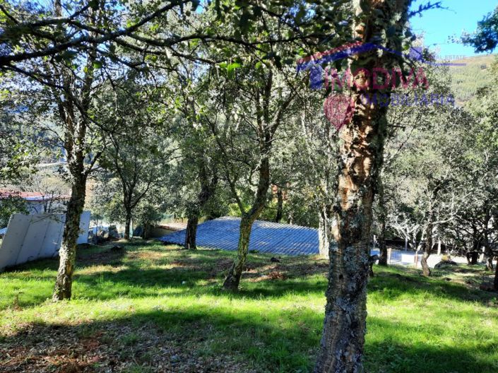 Image No.7-Propriété à vendre à Figueiró dos Vinhos