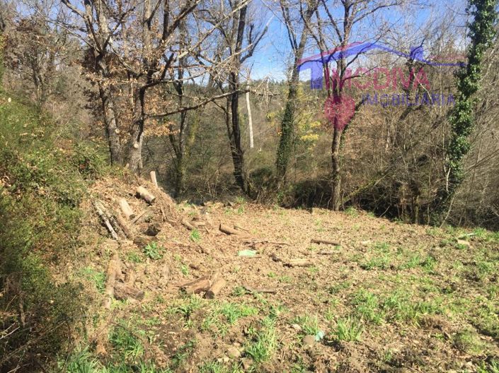 Image No.15-House for sale