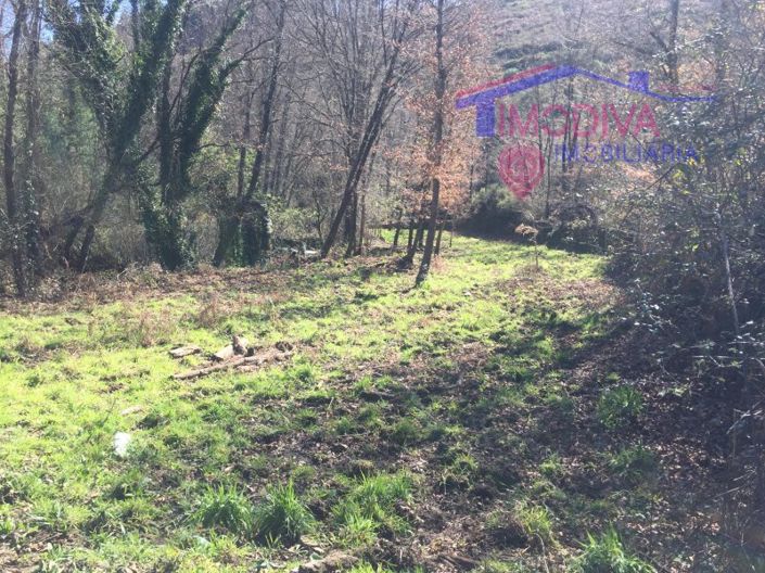 Image No.6-House for sale