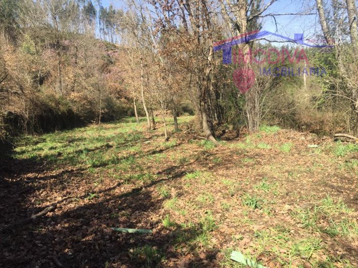 Image No.16-House for sale