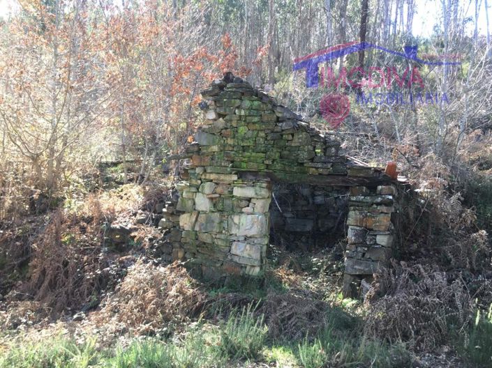 Image No.5-House for sale