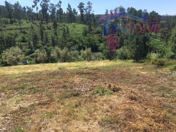 1 - Sertã, Plot