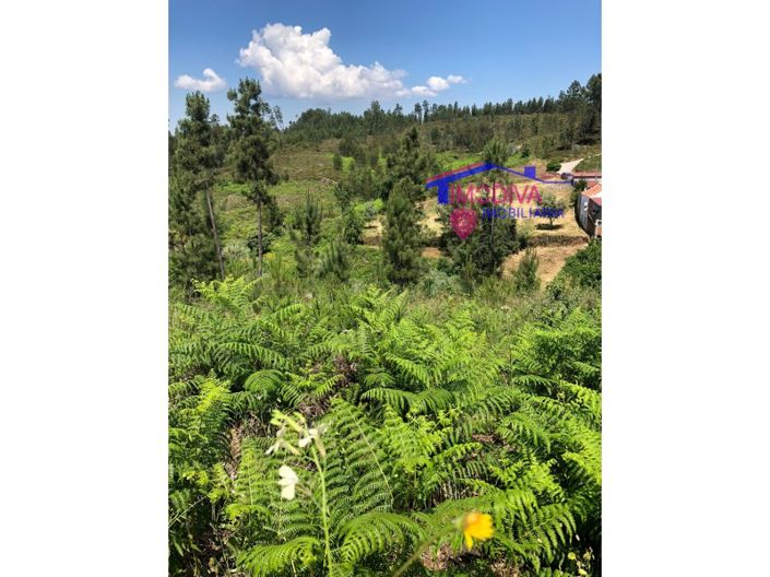 Image No.11-Plot for sale