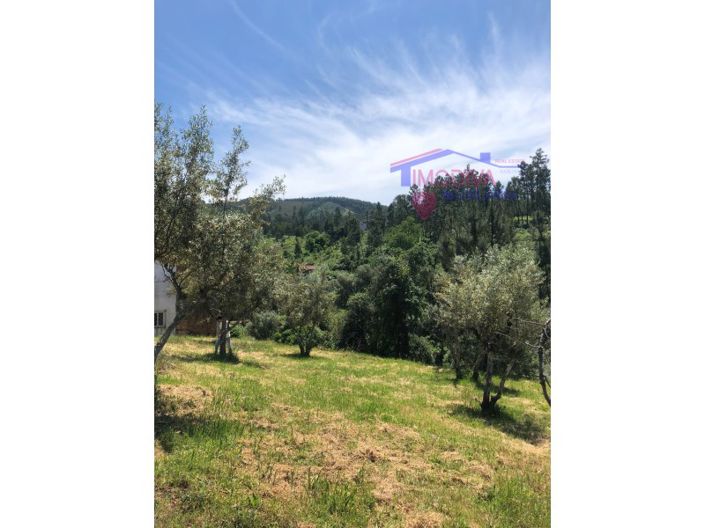 Image No.3-Plot for sale