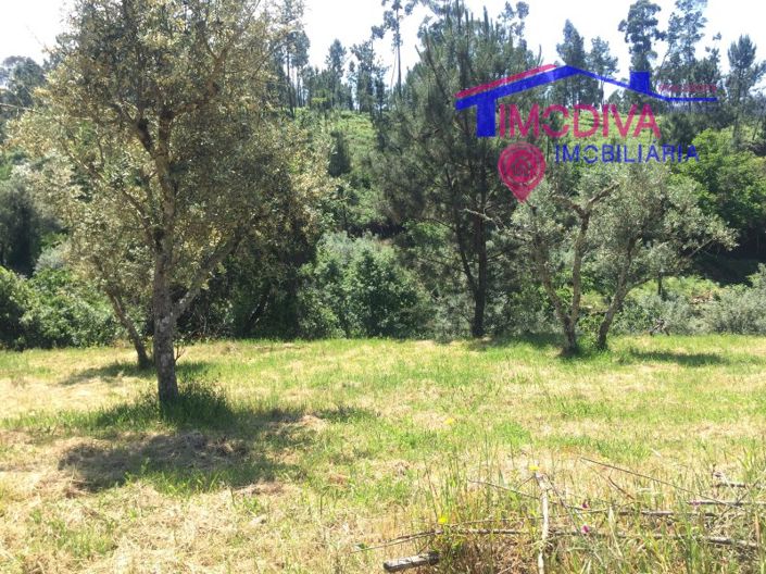 Image No.5-Plot for sale