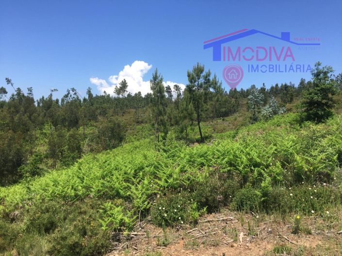 Image No.6-Plot for sale