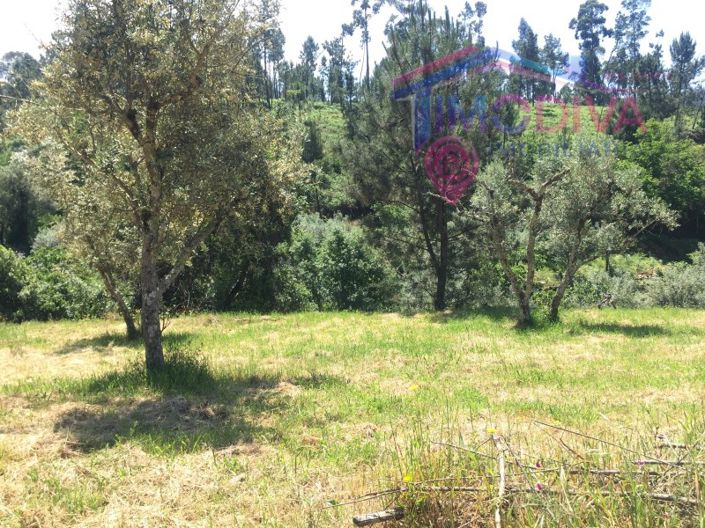 Image No.6-Plot for sale