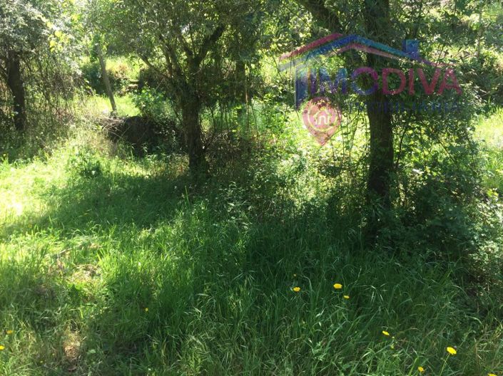 Image No.8-Plot for sale