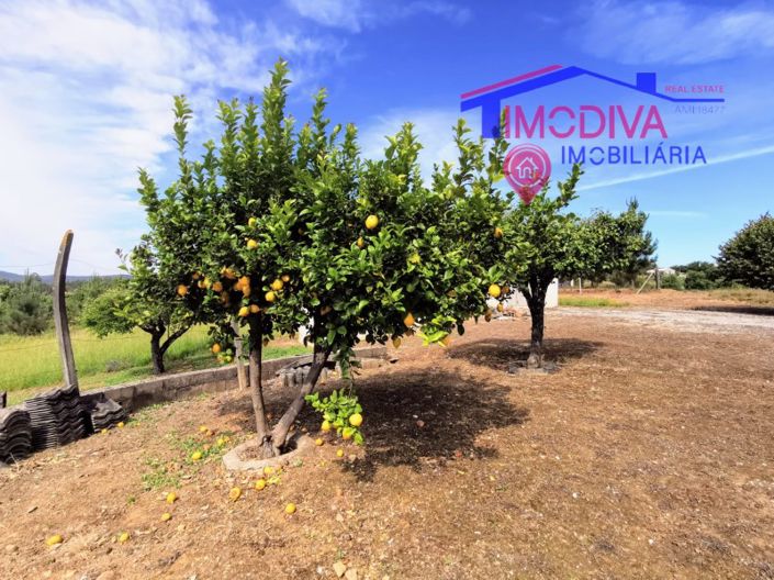 Image No.44-4 Bed House for sale