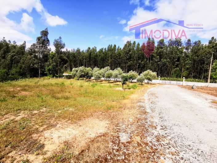 Image No.45-4 Bed House for sale