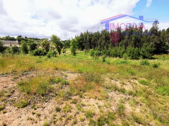 Image No.46-4 Bed House for sale