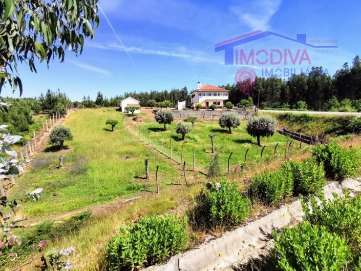 Image No.51-4 Bed House for sale