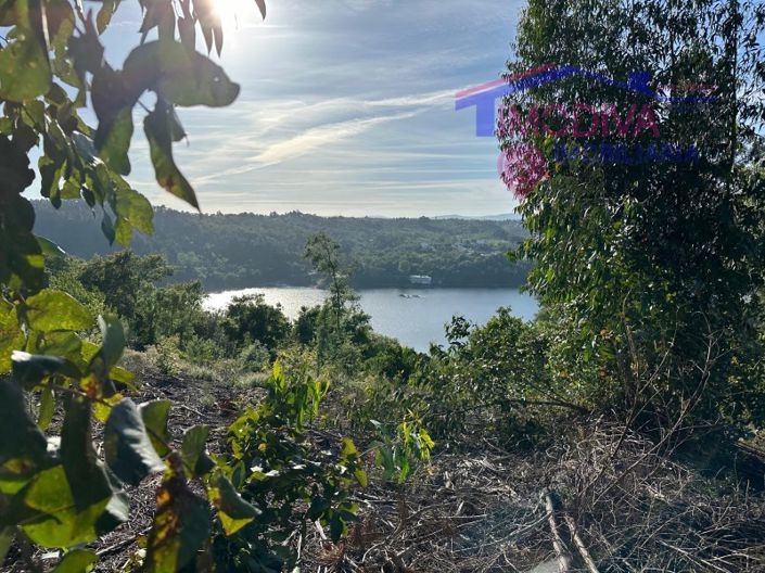 Image No.3-Maison à vendre à Sertã