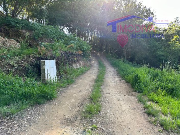 Image No.13-Maison à vendre à Sertã