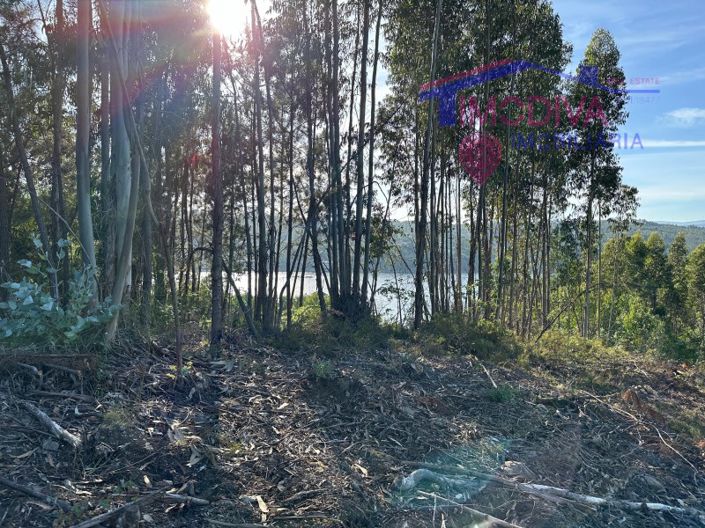 Image No.32-Maison à vendre à Sertã