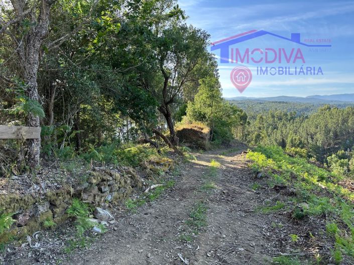 Image No.29-Maison à vendre à Sertã