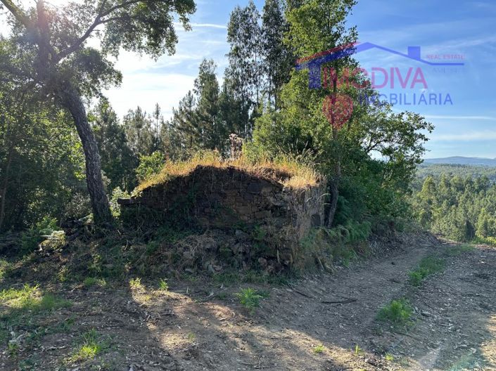 Image No.33-Maison à vendre à Sertã