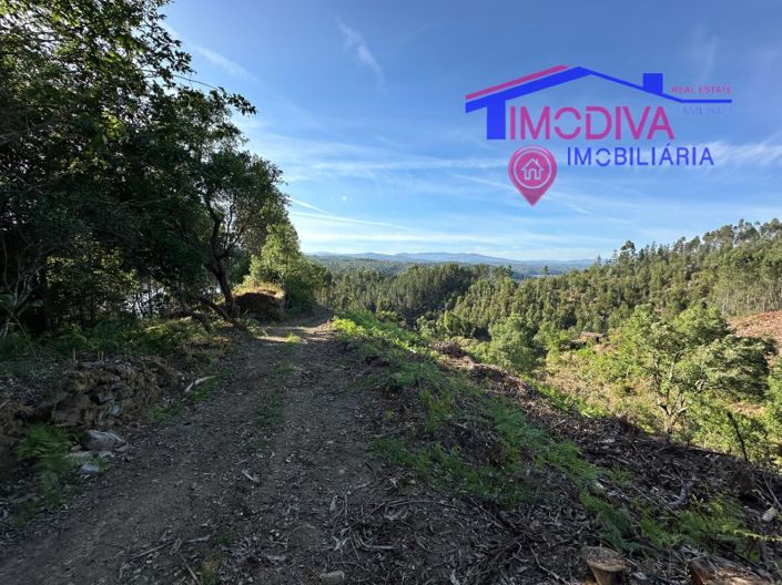 Image No.31-Maison à vendre à Sertã