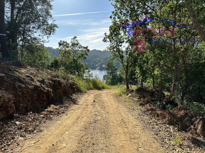 Image No.5-Maison à vendre à Sertã