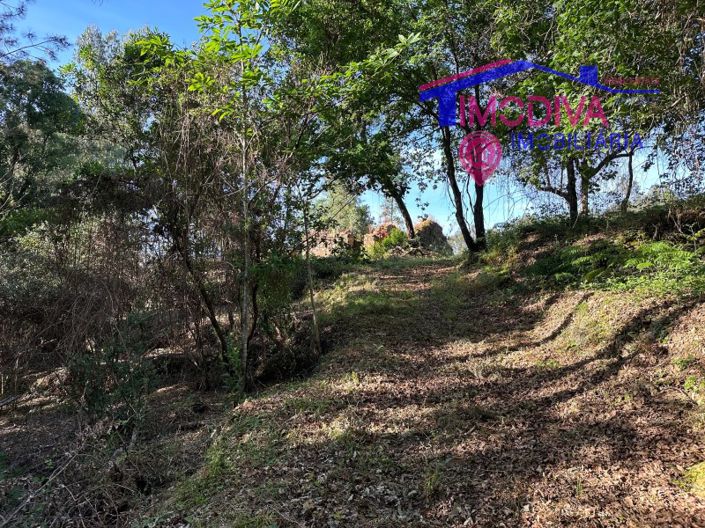 Image No.47-Maison à vendre à Sertã