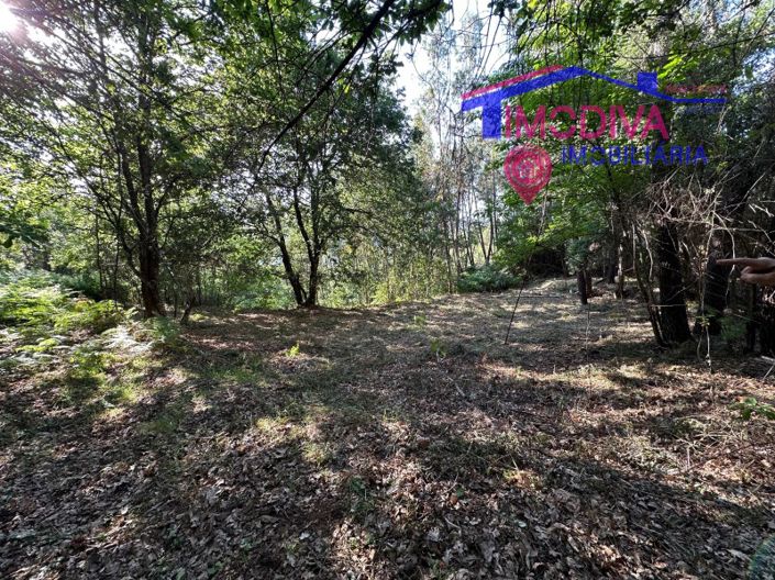 Image No.48-Maison à vendre à Sertã