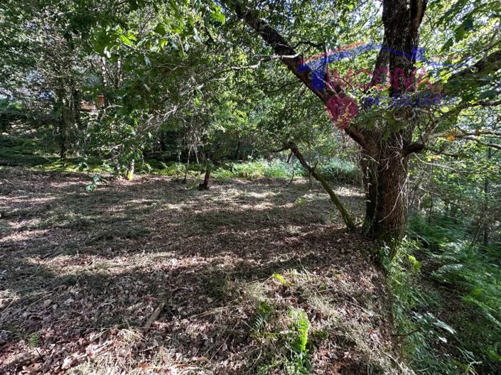 Image No.58-Maison à vendre à Sertã