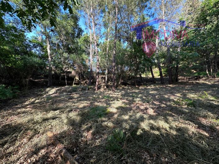 Image No.59-Maison à vendre à Sertã