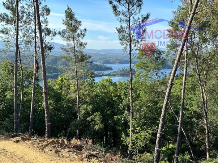 Image No.65-Maison à vendre à Sertã