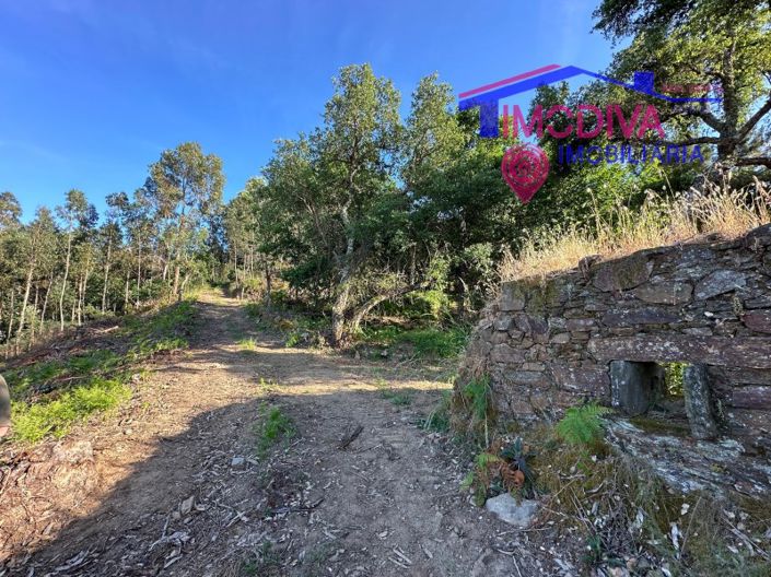 Image No.61-Maison à vendre à Sertã