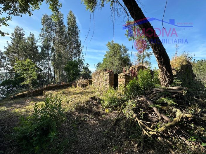 Image No.66-Maison à vendre à Sertã